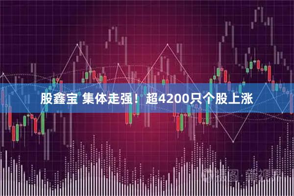 股鑫宝 集体走强！超4200只个股上涨